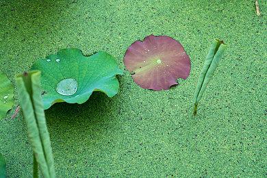 索尼农历新年宣传片 韩国女星金世正Cos蒂法